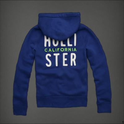 Hollister Men Hoodies-17